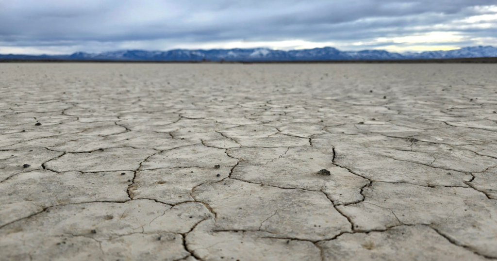 Cracked desert floor representing structural trust fractures in organizations